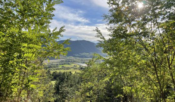 Maison à rénover sur 4917 m2